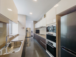 Belle Vue Residences (D9), Condominium #447712771